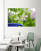 Obraz Konvalinky 1570